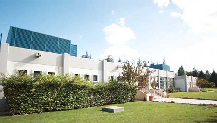 Recolha de pó de madeira 